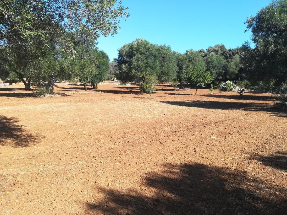 Trullo Alessandro E Villa Raffaela San Vito dei Normanni Exteriör bild