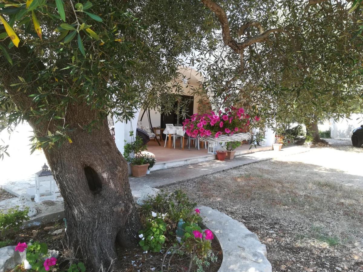 Trullo Alessandro E Villa Raffaela San Vito dei Normanni Exteriör bild