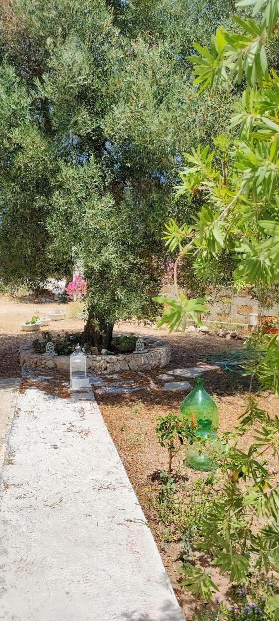 Trullo Alessandro E Villa Raffaela San Vito dei Normanni Rum bild