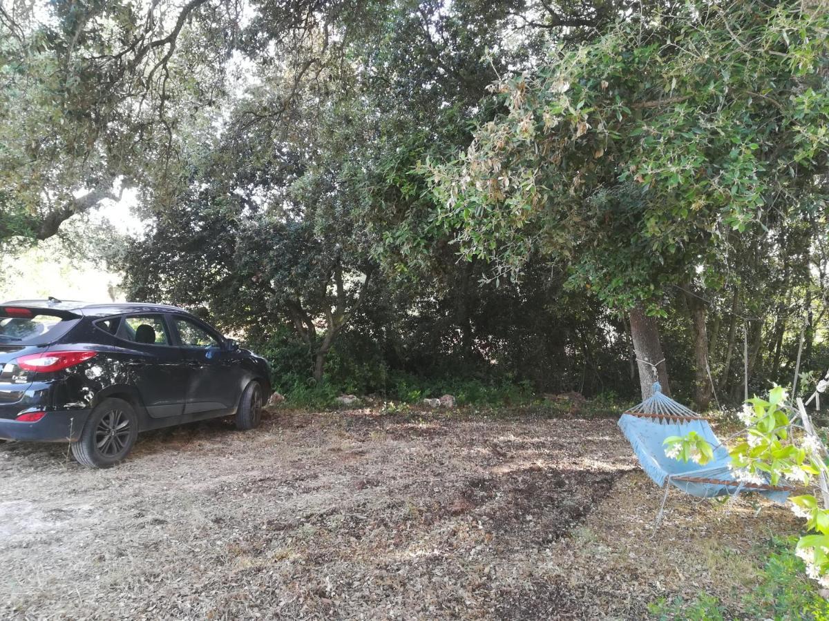 Trullo Alessandro E Villa Raffaela San Vito dei Normanni Exteriör bild